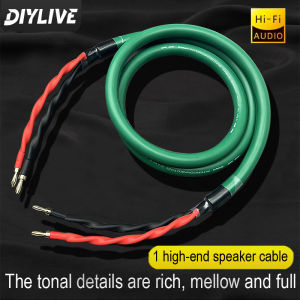 DIYLIVE HIFI Mcintosh high-end 4-core high-purity copper speaker wire speaker wire and high-end main audio cable