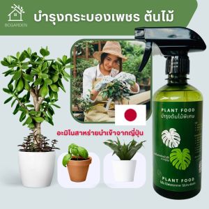 สเปรย์บำรุงใบ ใบใหญ่ ใบเขียว กระตุ้นการแตกใบ แตกยอด ปลอดภัยต่อผู้ใช้ อาหารเสริมต้นไม้ แบบขวดสเปรย์ 1 ขวด  450 ml Plant Food