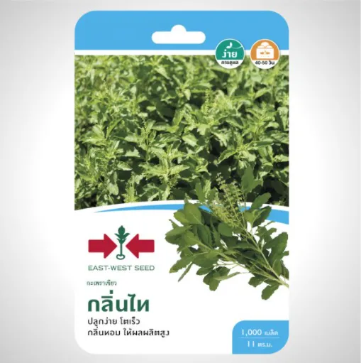 10 อันดับเมล็ดพันธุ์ยอดนิยม ปลูกง่าย ผลผลิตสูง สำหรับสวนครัวปี 2026