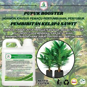 Pupuk Penyubur Daun Dan Batang Bibit Sawit Pupuk Khusus Bibit Kelapa Sawit Pupuk Bibit Sawit Kecil