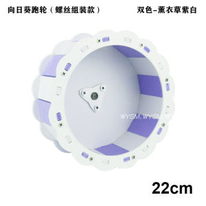 Silent Hamster Spinner/Silent Hamster Wheel Hamster Exercise Wheel Easy To Install Saves Space And Bedding Exercise = Less Stress Wheel with Stand Plastic
