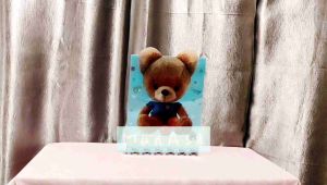 Big head bear cute cartoon PVC waterproof A4 button file folder
