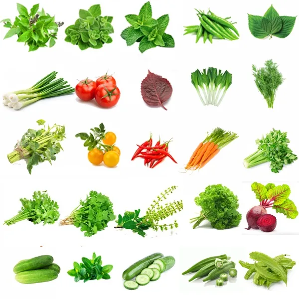 ผักสวนครัว📌10แถม1!!📌ถูกที่สุด 9บ.📌เมล็ดพันธุ์ผักสวนครัว 5-500 เมล็ด🌿 ...