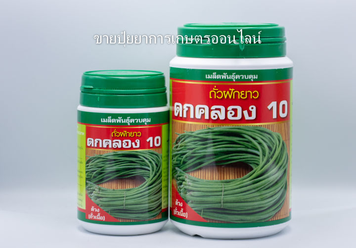 เมล็ดพันธุ์ถั่วฝักยาว ดกคลอง10 ฝักยาว เนื้อแน่น