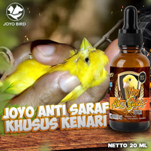 OBAT BURUNG TETELO KENARI | OBAT GANGGUAN SARAF | SAYAP BURUNG TERKULAI | KEPALA BURUNG MUTER - MUTER | ANTI SARAF KENARI