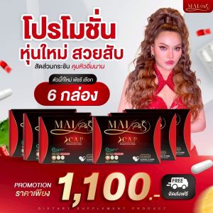 6 กล่อง พร้อมส่ง ใหม่พลัส Mai Plus S Cap  ใหม่พลัส เอสแคป 1 กล่อง 10 แคปซูล