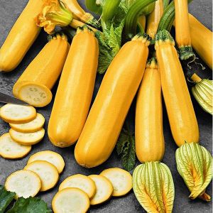 Hạt giống bí ngòi dài vàng (2 gram) - thơm ngon giàu dinh dưỡng