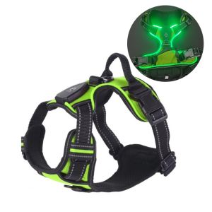 BLACKON Có thể điều chỉnh Dây dắt chó có đèn Led Có thể sạc lại Phát sáng Áo phát sáng cho chó Bền Nhấp nháy Dây đeo ngực cho thú cưng dạ quang Đi dạo đêm