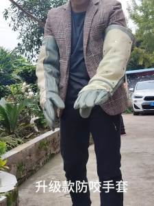 加厚防蛇咬手套加长双层牛皮训犬训狗防猫抓狗撕咬宠物店手部防护