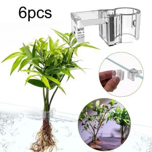 MODERNLUX 6Pcs Mini Size Aquarium Plant Holder Transparent PC Aquascape Nursery 6Pcs Aquarium Accessories Fish Tank Planter Aquarium Use