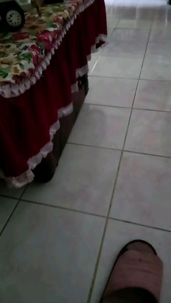 Buyer review video 2