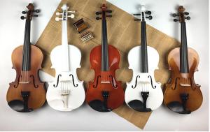 [GIAO NGAY] Đàn Violin gỗ cao cấp - Vĩ cầm 4/4 tặng full phụ kiện - HÀNG CÓ SẴN.
