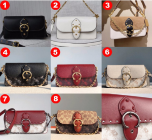 Co@ch 4763 4761 6910 4760 C0831 Beat Crossbody Clutch Rivets Horse & Carriage Women Sling Shoulder Chain Bag