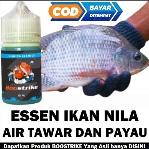 ESSEN IKAN NILA GACOR UMPAN PENGUMPUL IKAN NILA AIR TAWAR DAN PAYAU ISI 30ML | BOOSTRIKE HIBRIDA