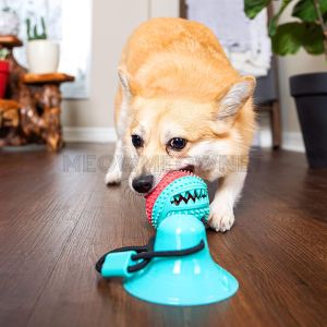 Pet Bite Teething Clean Teeth Treats Squeaky ball Bell Super Fun DOG MOLAR RUBBER CHEW TOY