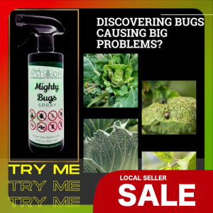 POPULAR PRODUCT Racun Serangga Tanaman Organik - PestOff Mighty Bugs Spray untuk Bunuh dan Halau Serangga yang Mengancam Tumbuhan