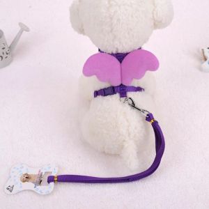 Pet Dog Leashes Collars Set Puppy Leads Angel Wing Harness