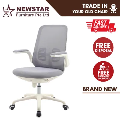 Newstar Computer Chair Home Schick Chair Office Seat Elevating Study Chair Swivel Chair Ergonomics Chair Office Chair - NewStar Furniture