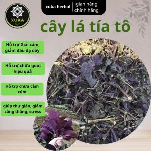 Lá và thân cây tía tô khô nghệ anthơm mới hỗ trợ ngừa gút thanh nhiệt làm đẹp da...