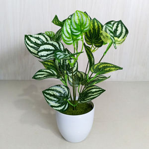 Unico PBP37 Tanaman Hias Buatan Pot Bunga Daun Keladi Artificial Decoration Leaf Ornamen Hiasan Dekorasi Pajangan Ruangan Plastik COD