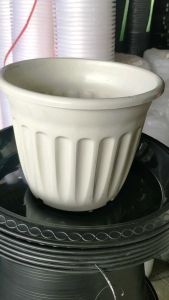 กระถางโรมัน 8 นิ้ว เลือกสีได้