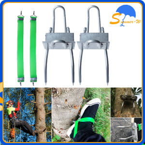 Alat Panjat Pohon Sepasang: Panduan Lengkap