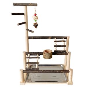 🇸🇬 Bird Playground: Parrot Perch Stand Interactive Wood Playpen with Climbing Ladder and Swing Toy