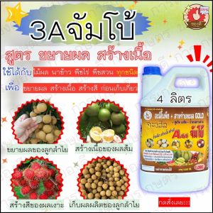 สร้างเนื้อ สร้างสี ขยายผลโตกับจะเด็ด สูตร 3เอจัมโบ้ อาหารพืชทางใบเพื่อขยายผล ขั้วเหนียว ป้องกันผลแตก 1 แกลลอน 4000 ซีซี