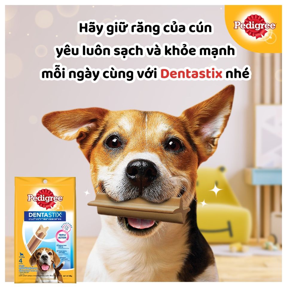 [Mới] Pedigree Dentastix Bánh xương cho chó con – 7 thanh