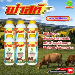 บำรุงระบบสืบพันธุ์ให้สัตว์สมบูรณ์แข็งแรง ร่าเริง สัตว์ลักษณะดี มีภูมิคุ้มกันที่ดี ฟาสท์ริช168 ฟาสท์ไคโตซาน ฝาสีเหลือง6ขวด สินค้าพร้อมจัดส่งใน 1 วัน