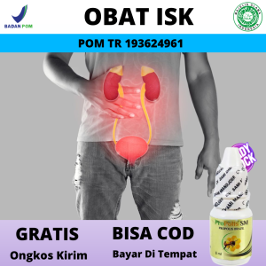 Obat Herbal Infeksi Saluran Kemih Mengobati Radang Kantung Kemih ISK Pria Wanita Pereda Nyeri Kencing Susah Buang Air Kecil Sakit Kencing Batu Anyang Anyangan Sipilis Atasi Masalah Prostat Bengkak Kelenjar Prostat Peluruh Batu Ginjal Batu Empedu