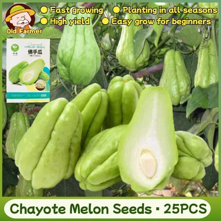 best fertilizer for fruit plants MicroLife Fertilizer