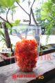 Plastik Klip PP / Standing Pouch / Seal Lebar / Plastik kemasan Snack / Plastik PP Klip / Zipper bag / ukuran 19.5+3 x 16cm (ukuran dalam plastik). 