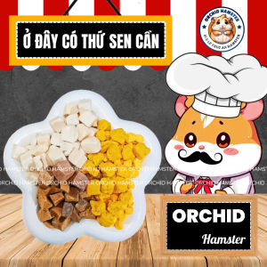 Gà Sấy Hamster Thơm Ngon Dinh Dưỡng Bổ Sung Chất Đạm & Protein