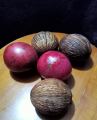 BUAH BINTARO (1KG). 