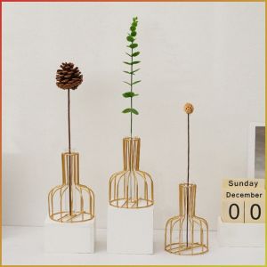 Decorative Vases Golden Ironwork Flowerpot Light Luxury Stability Clear Glass Fashion Visual Effects