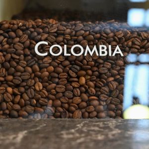 Colombian 250g White Coffee Premium Blend - Coffee Beans - Groceries > Drinks > Coffee > Coffee Beans