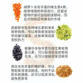 Karamo Dry Mix Vegetable 宠物脱水蔬菜粒 Pet Vegetable Makanan Hamster Food Hamster Snack Dog Food 仓鼠零食仓鼠食物. 