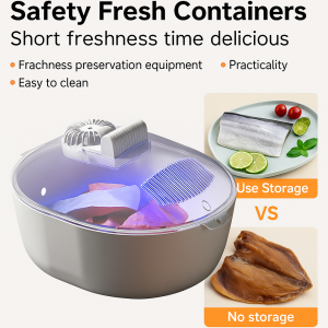 4 In 1 Atomized Quick Thawing Artifact Freshness Preservation Sterilization Meat Defroster For Frozen Food