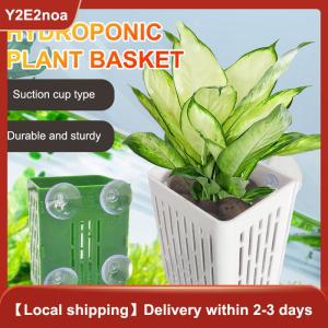 【Y2E2noa】 Hanging Suction Cup Hook Aquarium Plant Holder Plastic Aquarium Planter Cups Planter Baskets Aquatic Pot Box Aquascape Decoration