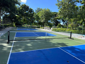 Lưới picklaball thi đấu thép hộp 80 x 80 có khe hở cho bóng lăn qua