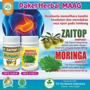 Obat Asam Lambung Dan Magh Kronis Paling Ampuh Zaitop Moringa Original De Nature