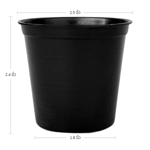 กระถาง กระถางต้นไม้ กระถางพลาสติก เบอร์ 2.5 นิ้ว สีดำ Bundle 100 ใบ ชิ้น อัน