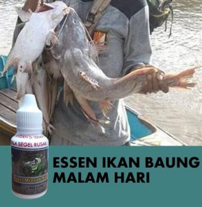 BAYAR DI TEMPAT Essen Ikan Baung Malam Hari 30ml