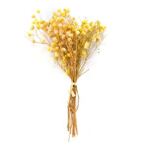 JOMEY Home Decor Photography Natural Photo Backdrop Small Pressed Artificial flowerss Gypsophila Babysbreath Bouquet Dry Flower