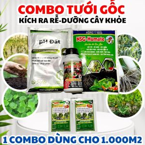 COMBO TƯỚI GỐC 1.000m² – RA RỄ MẠNH PHỤC HỒI CÂY SUY HẠ PHÈN NÂNG pH ĐẤT
