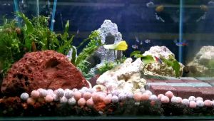 ［READY STOK] NEW NANO TECH BIO BLOCK FILTER MEDIA 3PCS（菌石）