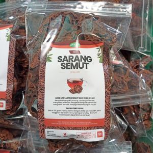 Teh Sarang Semut Asli Dari Papua Untuk Atasi Kanker Benjolan AbnormalStrokeTumor DLL 100% Asli