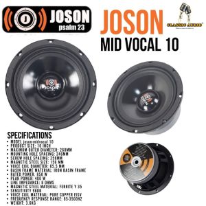 Joson Mid Vocal 10 Professional Audio Speaker with 850 Watts rated power (Original)