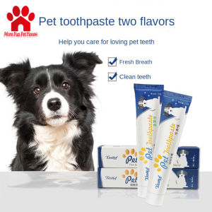 Comprehensive Guide to Pet Dog & Cat Toothbrushes
